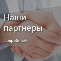 partners